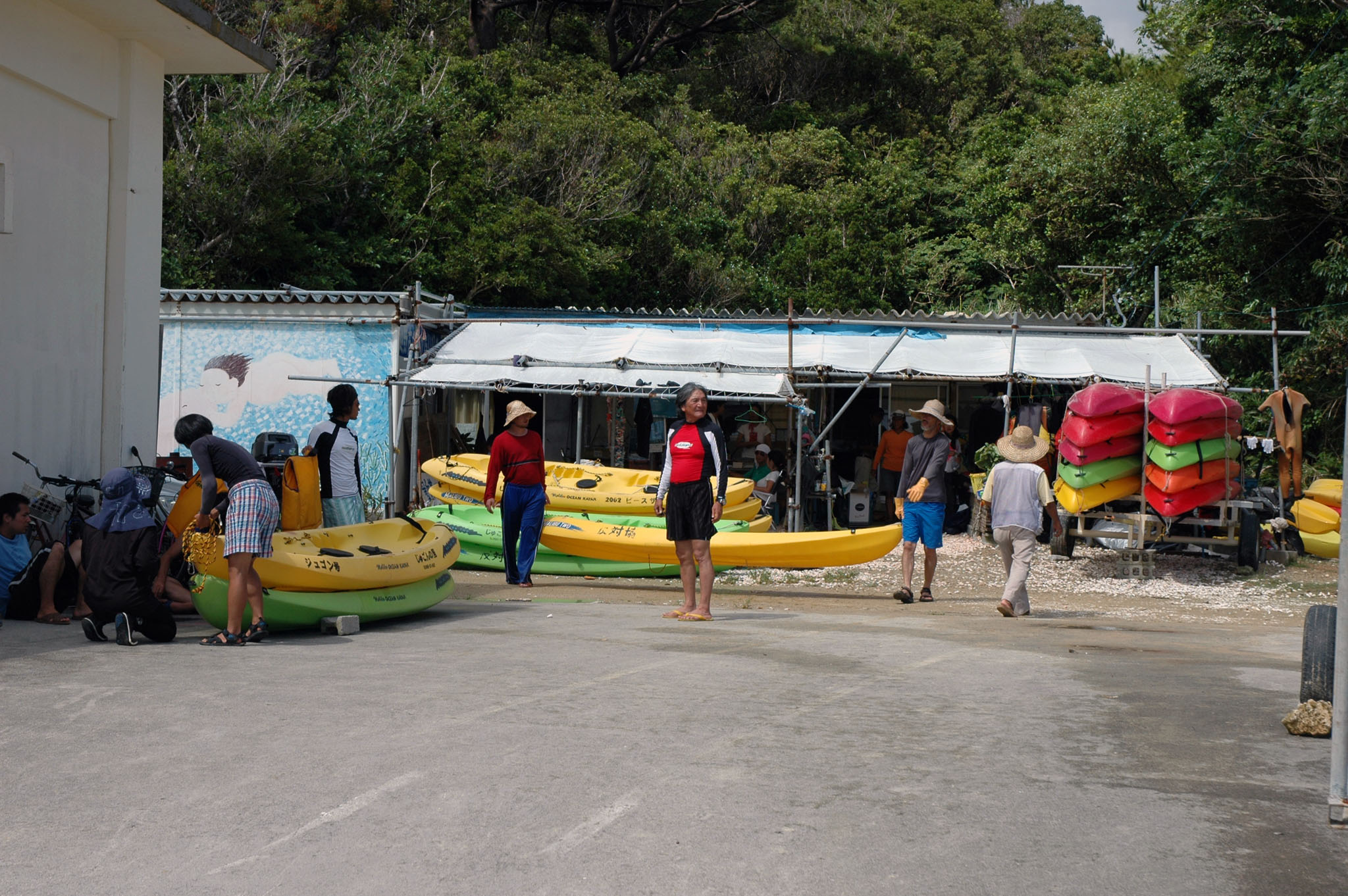 DSC_0433.JPG