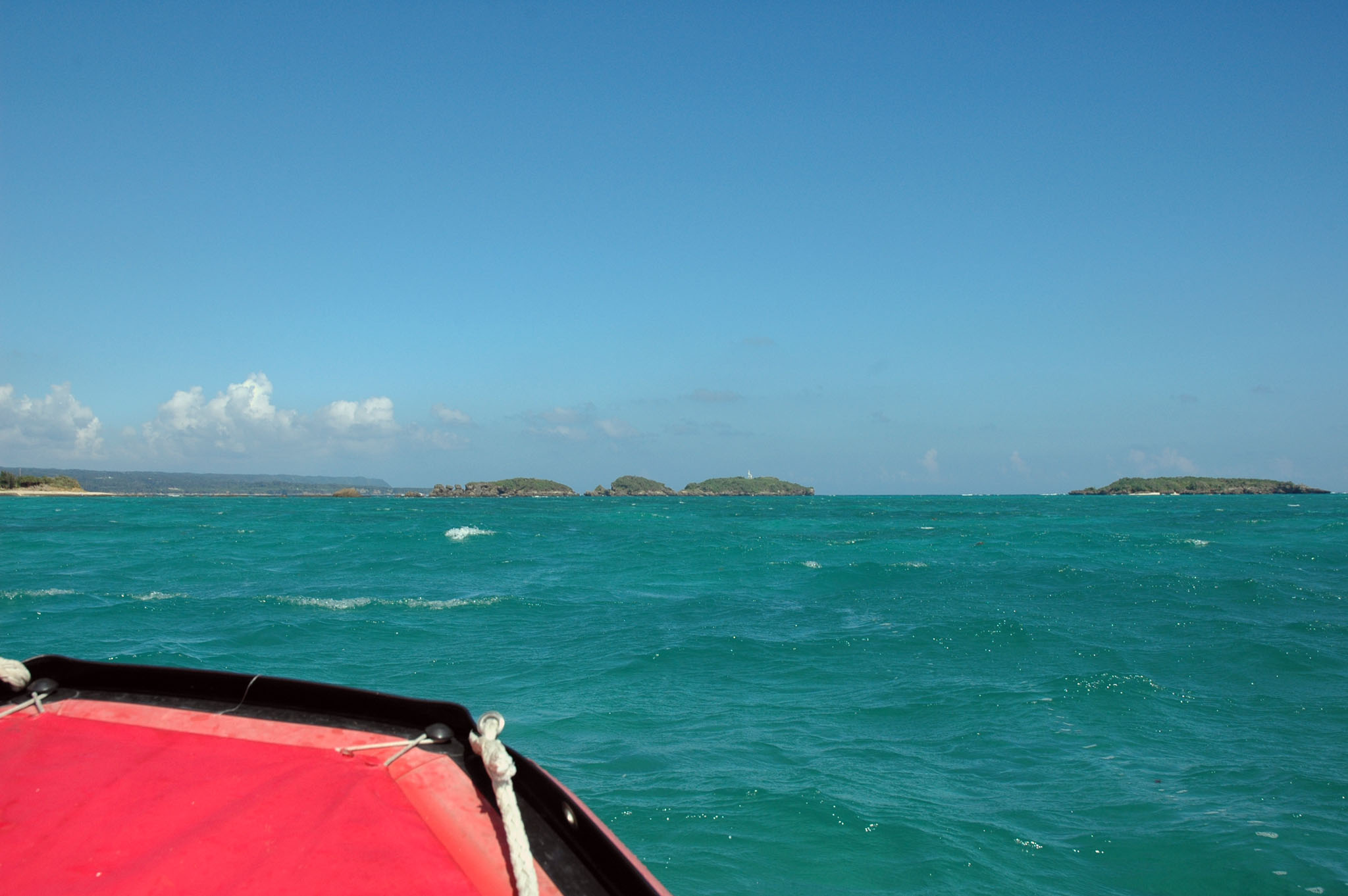 DSC_0503.JPG